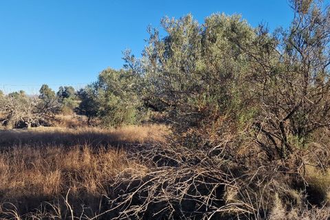 Erhvervsejendom i Mojacar, Almeria, Mojacar - € 120.000 | Ref: 2163 - foto 8
