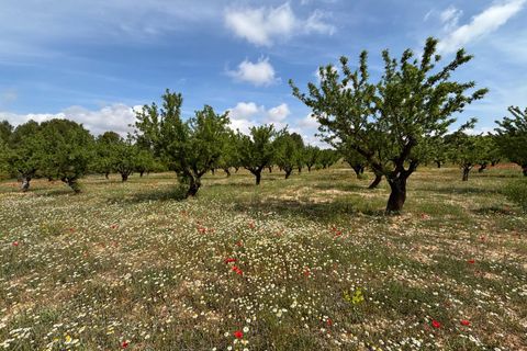 Helårsgrund i Requena, Valencia, Requena - € 89.900 | Ref: EXP14293/8930 - foto 1