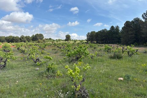 Helårsgrund i Requena, Valencia, Requena - € 89.900 | Ref: EXP14293/8930 - foto 2