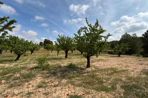 Helårsgrund i Requena, Valencia, Requena - € 89.900 | Ref: EXP14293/8930 - foto 3