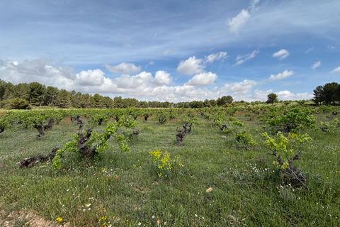 Helårsgrund i Requena, Valencia, Requena - € 89.900 | Ref: EXP14293/8930 - foto 4