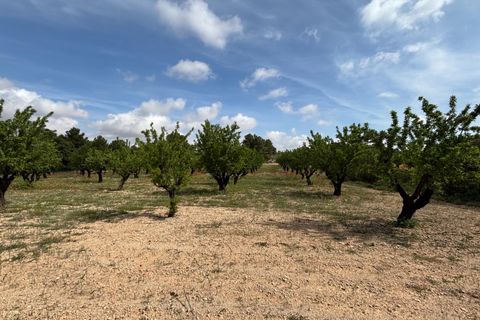 Helårsgrund i Requena, Valencia, Requena - € 89.900 | Ref: EXP14293/8930 - foto 5