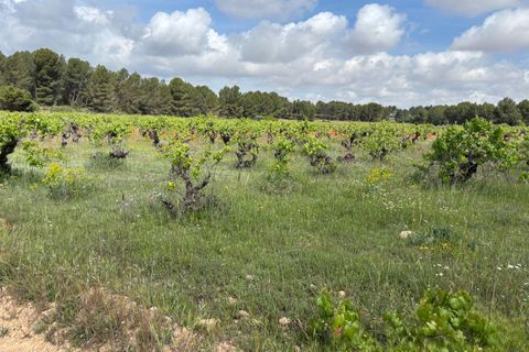 Helårsgrund i Requena, Valencia, Requena - € 89.900 | Ref: EXP14293/8930 - foto 6