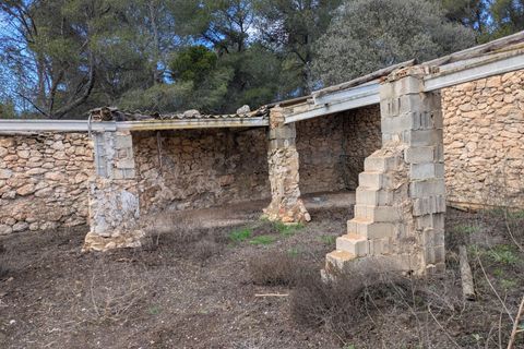 Helårsgrund i Requena, Valencia, Requena - € 89.900 | Ref: EXP14293/8930 - foto 9