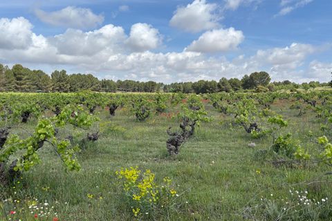 Helårsgrund i Requena, Valencia, Requena - € 89.900 | Ref: EXP14293/8930 - foto 10