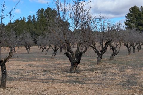 Helårsgrund i Requena, Valencia, Requena - € 89.900 | Ref: EXP14293/8930 - foto 12