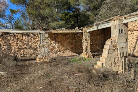Helårsgrund i Requena, Valencia, Requena - € 89.900 | Ref: EXP14293/8930 - foto 13