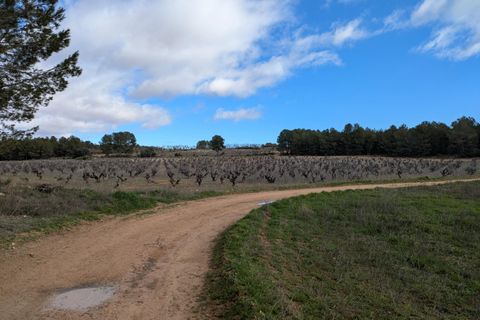 Helårsgrund i Requena, Valencia, Requena - € 89.900 | Ref: EXP14293/8930 - foto 14