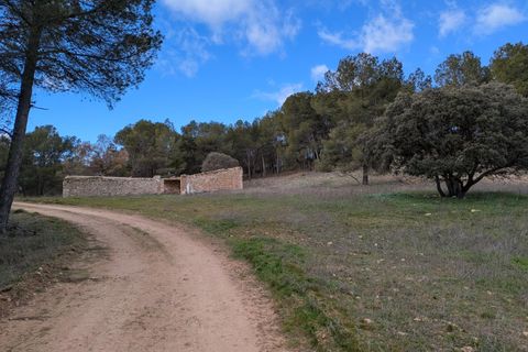 Helårsgrund i Requena, Valencia, Requena - € 89.900 | Ref: EXP14293/8930 - foto 15