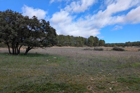 Helårsgrund i Requena, Valencia, Requena - € 89.900 | Ref: EXP14293/8930 - foto 16