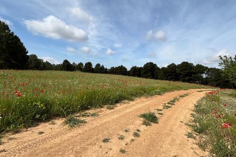 Helårsgrund i Requena, Valencia, Requena - € 89.900 | Ref: EXP14293/8930 - foto 17