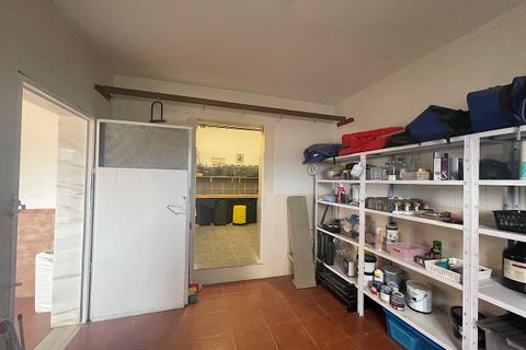 Herregård i Tabernas, Almeria, Tabernas - € 195 000 | Ref: TAB-26-733 - foto 32