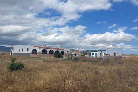 Herregård i Tabernas, Almeria, Tabernas - € 195 000 | Ref: TAB-26-733 - foto 46