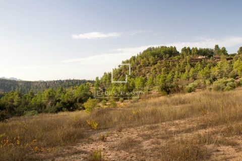 Villa i Els Guiamets, Tarragona, Els Guiamets - € 398.000 | Ref: TAR69380 - foto 11