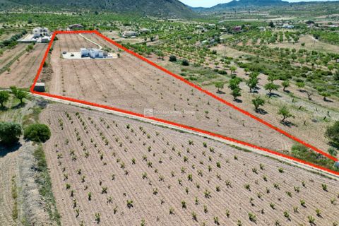 Villa i Barbarroja, Alicante, Barbarroja - € 499.950 | Ref: HVH-IBIZABBR - foto 2