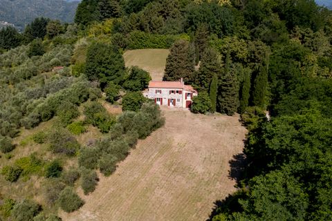 Landejendom i Lucca, Lucca, Lucca - € 575.000 | Ref: 1347 - foto 7