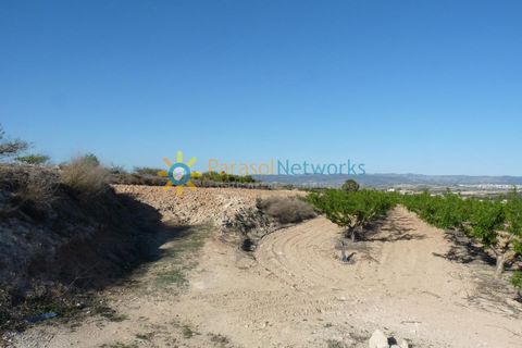 Terra a Belgida, Valencia, Belgida - € 125.000 | Ref: PNPT0019 - foto 8