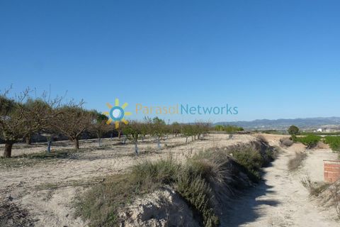 Terra a Belgida, Valencia, Belgida - € 125.000 | Ref: PNPT0019 - foto 13