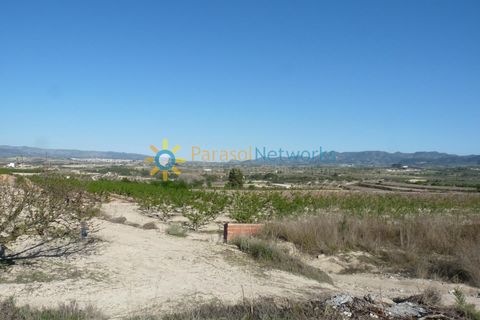 Terra a Belgida, Valencia, Belgida - € 125.000 | Ref: PNPT0019 - foto 3