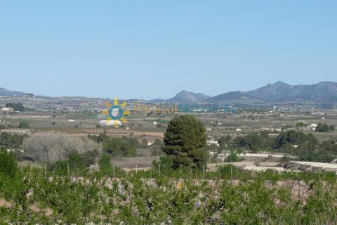 Terra a Belgida, Valencia, Belgida - € 125.000 | Ref: PNPT0019 - foto 10