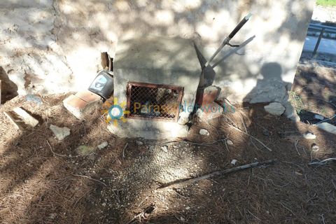 Terra a Belgida, Valencia, Belgida - € 125.000 | Ref: PNPT0019 - foto 7