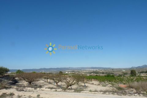 Terra a Belgida, Valencia, Belgida - € 125.000 | Ref: PNPT0019 - foto 11