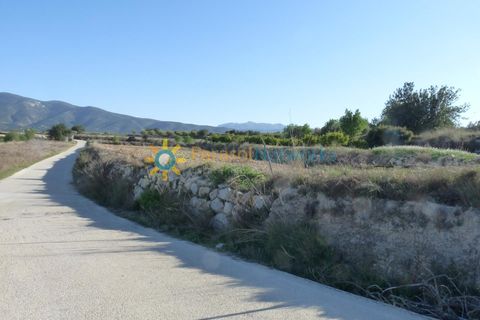 Terra a Belgida, Valencia, Belgida - € 125.000 | Ref: PNPT0019 - foto 15