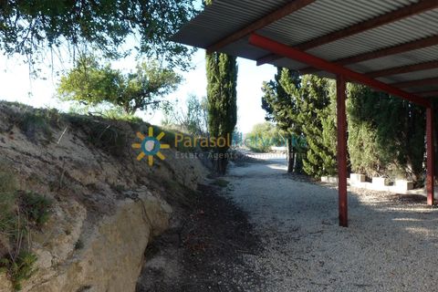 Terra a Belgida, Valencia, Belgida - € 125.000 | Ref: PNPT0019 - foto 6