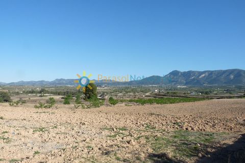 Terra a Belgida, Valencia, Belgida - € 125.000 | Ref: PNPT0019 - foto 18
