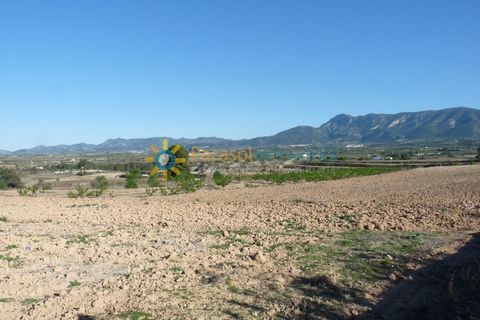 Terra a Belgida, Valencia, Belgida - € 125.000 | Ref: PNPT0019 - foto 19