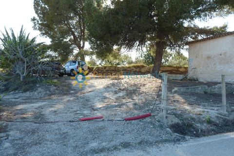 Terra a Belgida, Valencia, Belgida - € 125.000 | Ref: PNPT0019 - foto 2