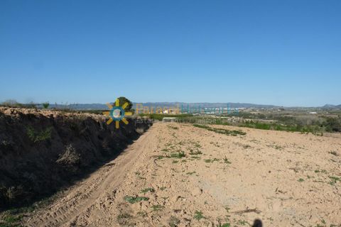 Terra a Belgida, Valencia, Belgida - € 125.000 | Ref: PNPT0019 - foto 17