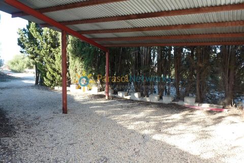 Terra a Belgida, Valencia, Belgida - € 125.000 | Ref: PNPT0019 - foto 5