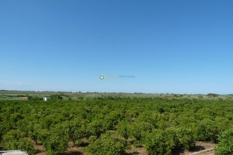 Landejendom i Pego, Alicante, Pego - € 200.000 | Ref: PNVL0004 - foto 24