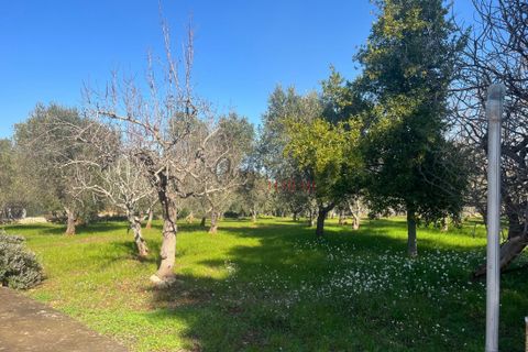 Landejendom i Ostuni, Brindisi, Ostuni - € 1.111.111 | Ref: 373 - foto 8