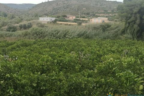 Tomt i Sellent, Valencia, Sellent - € 31 000 | Ref: PNPT247 - foto 2