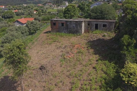 Farm i Ponte de Lima, Viana do Castelo, Ponte de Lima - € 270.000 | Ref: TC188 - foto 1