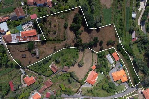 Farm i Ponte de Lima, Viana do Castelo, Ponte de Lima - € 270.000 | Ref: TC188 - foto 2