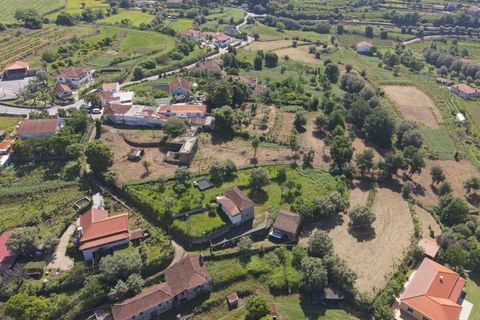Farm i Ponte de Lima, Viana do Castelo, Ponte de Lima - € 270.000 | Ref: TC188 - foto 4