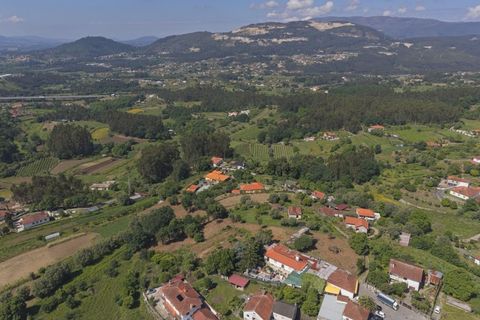 Farm i Ponte de Lima, Viana do Castelo, Ponte de Lima - € 270.000 | Ref: TC188 - foto 10