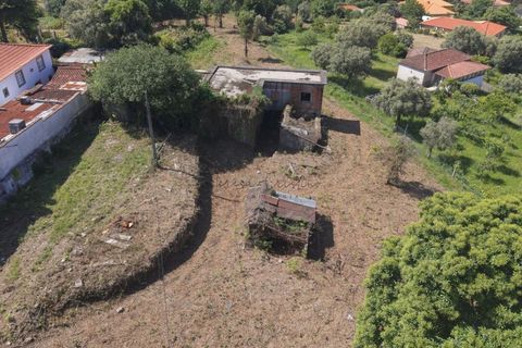 Farm i Ponte de Lima, Viana do Castelo, Ponte de Lima - € 270.000 | Ref: TC188 - foto 14