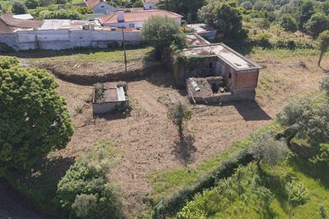 Farm i Ponte de Lima, Viana do Castelo, Ponte de Lima - € 270.000 | Ref: TC188 - foto 15