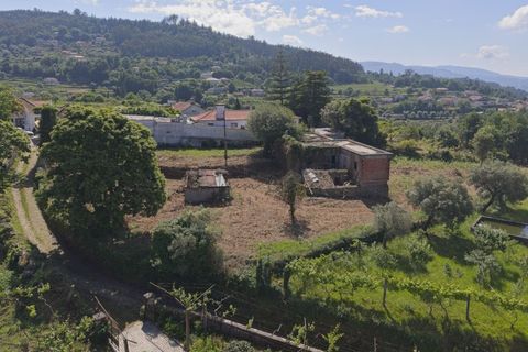 Farm i Ponte de Lima, Viana do Castelo, Ponte de Lima - € 270.000 | Ref: TC188 - foto 16