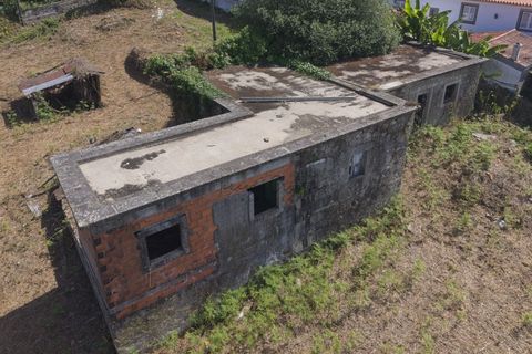 Farm i Ponte de Lima, Viana do Castelo, Ponte de Lima - € 270.000 | Ref: TC188 - foto 19