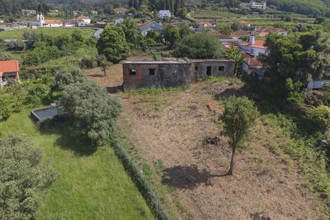 Farm i Ponte de Lima, Viana do Castelo, Ponte de Lima - € 270.000 | Ref: TC188 - foto 21