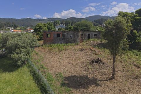 Farm i Ponte de Lima, Viana do Castelo, Ponte de Lima - € 270.000 | Ref: TC188 - foto 22