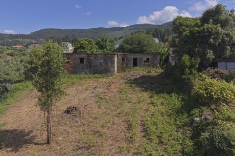 Farm i Ponte de Lima, Viana do Castelo, Ponte de Lima - € 270.000 | Ref: TC188 - foto 23