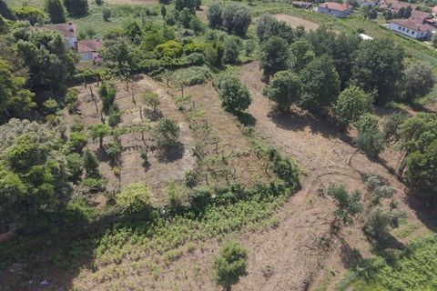 Farm i Ponte de Lima, Viana do Castelo, Ponte de Lima - € 270.000 | Ref: TC188 - foto 24