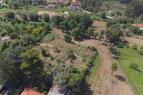 Farm i Ponte de Lima, Viana do Castelo, Ponte de Lima - € 270.000 | Ref: TC188 - foto 25