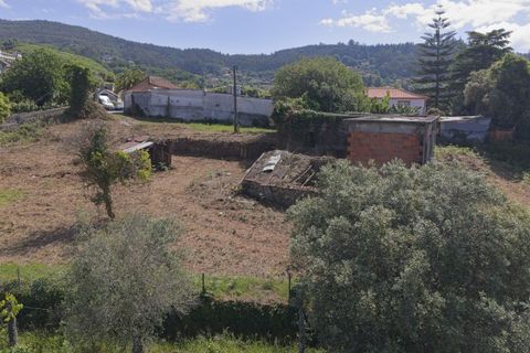 Farm i Ponte de Lima, Viana do Castelo, Ponte de Lima - € 270.000 | Ref: TC188 - foto 27